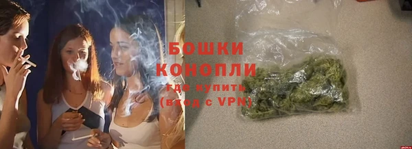 сатива Богородск