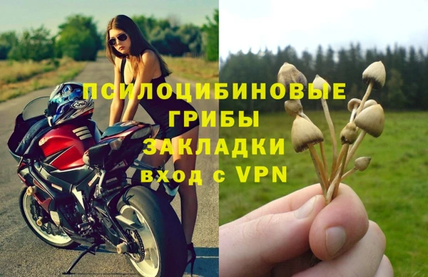 mdpv Бугульма
