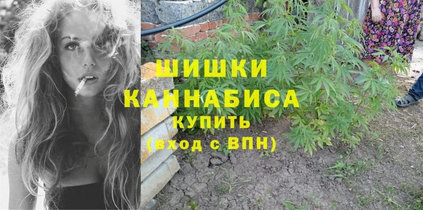 дмт Бронницы