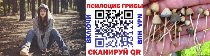 цена   Вяземский  Псилоцибиновые грибы ЛСД 